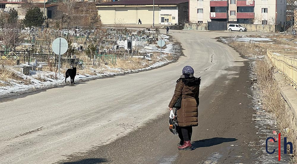 Sokak Kopekleri1