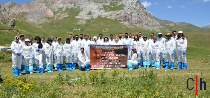 Whatsapp Image 2025 06 25 At 16 59 18