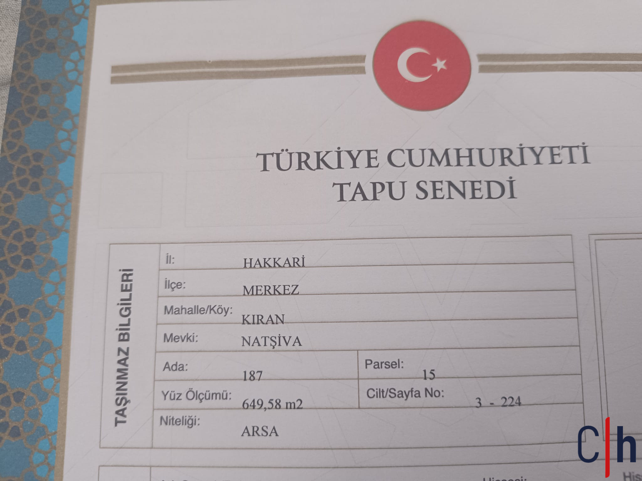 C6C2165D 177A 41F9 B1D7 D2D6A17Cda50