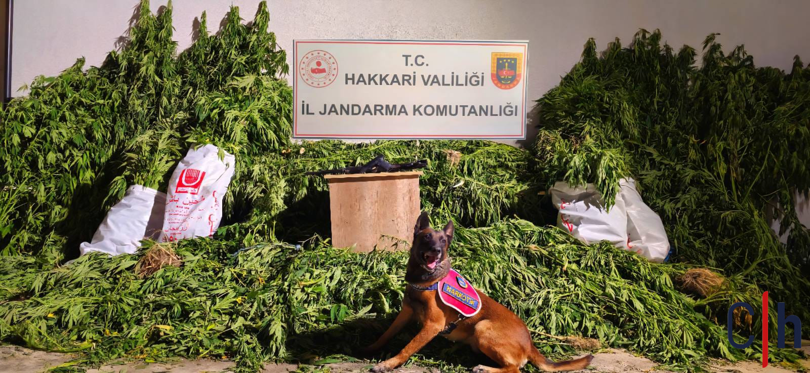 D9426Ecd 5156 4236 B629 5344Cb6C7Fcc