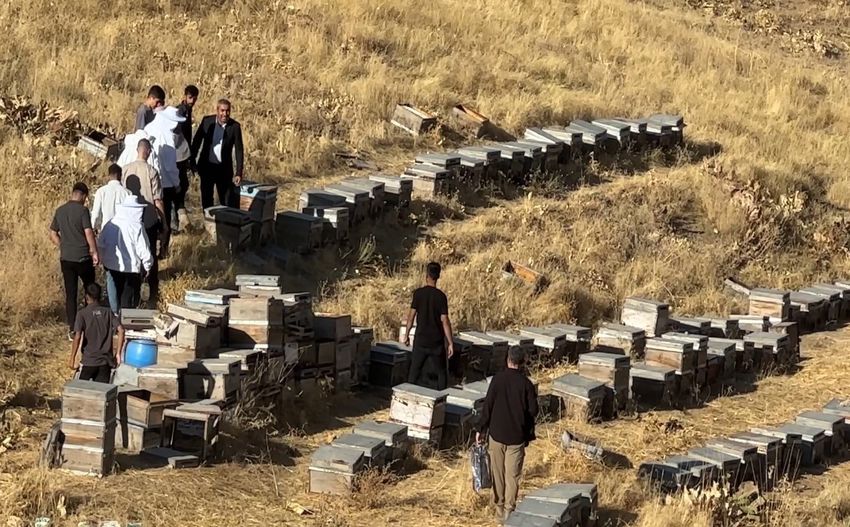 Hakkari Bal Hasadı 850X527