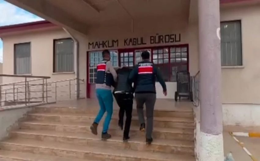 20251028Aw568133 3 850X527