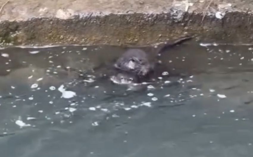 20251028Aw568243 4 850X527