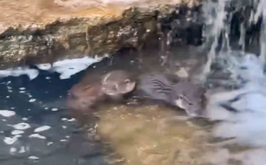 20251028Aw568243 850X527