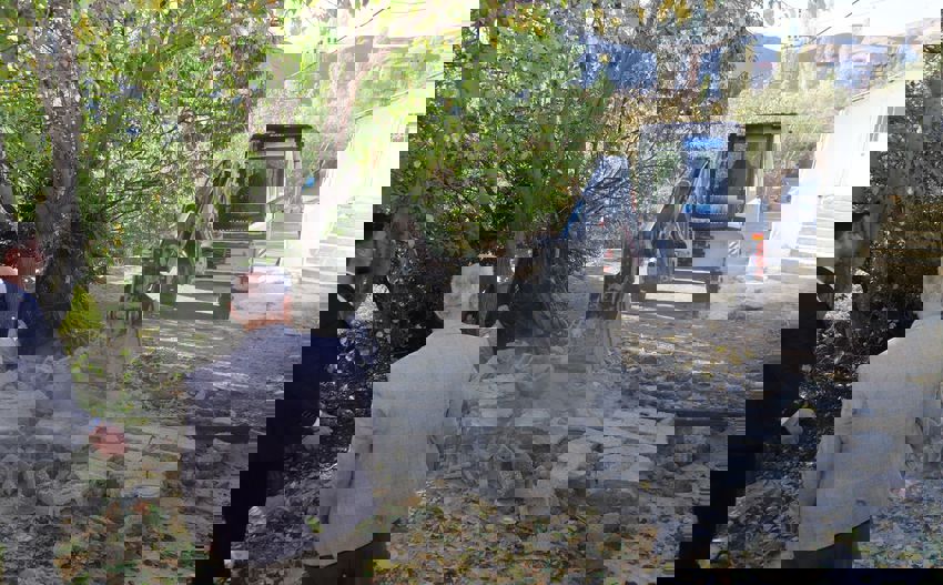 52016De7 E5A9 47Ac 8Cae De6Ada27Fbba 850X527