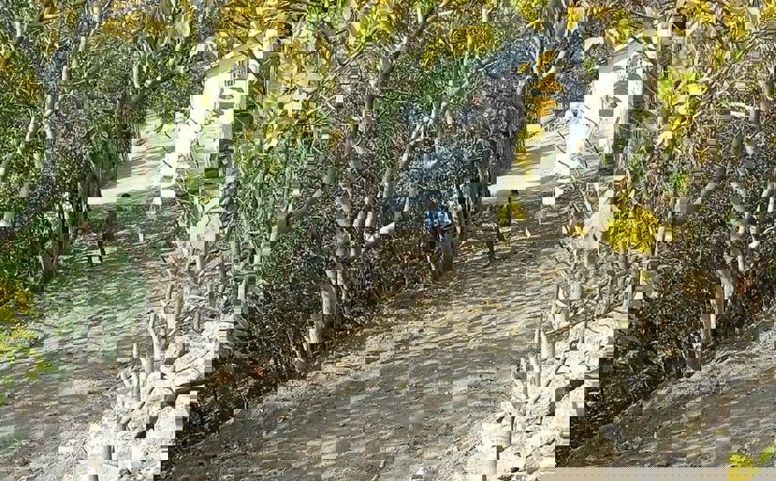 5C4F70D4 2198 47Bb A7Ab 382Cbc9Ee2C8 1761734941 850X527