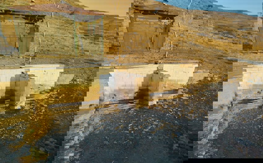 A7Cdd6E4 F28A 4A3C 9052 90334449Ffd7 1760695941 850X527