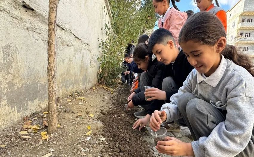 I M G 20251028 235419 850X527