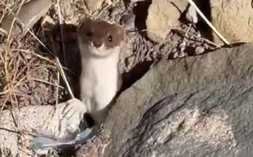 20251104Aw572823 850X527