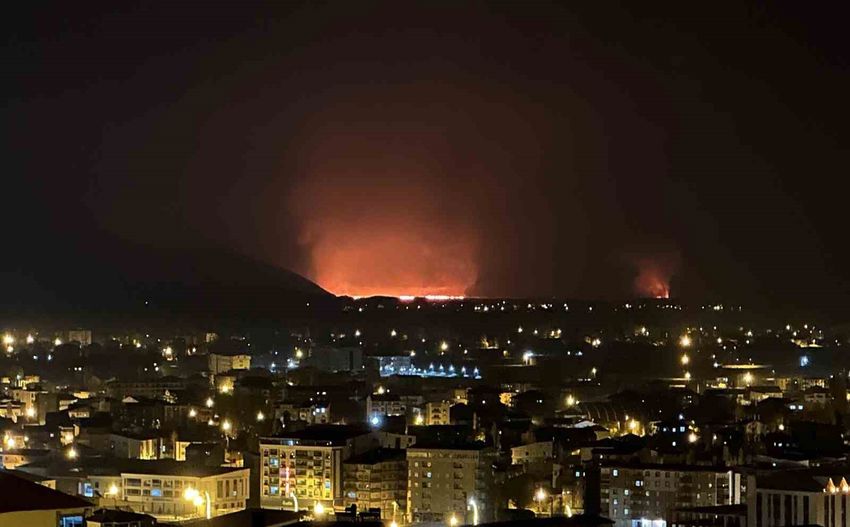 20251110Aw576265 7 850X527