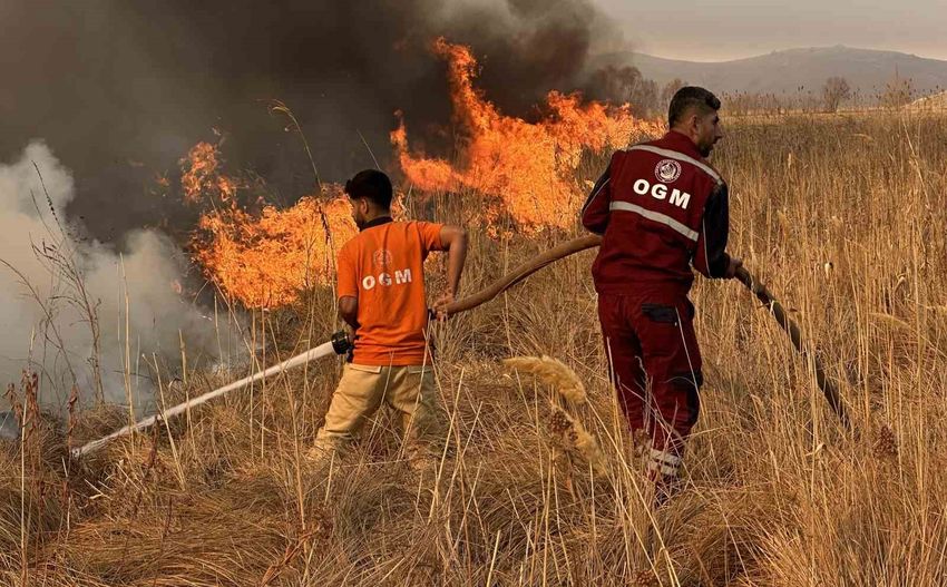 20251111Aw577372 14 850X527