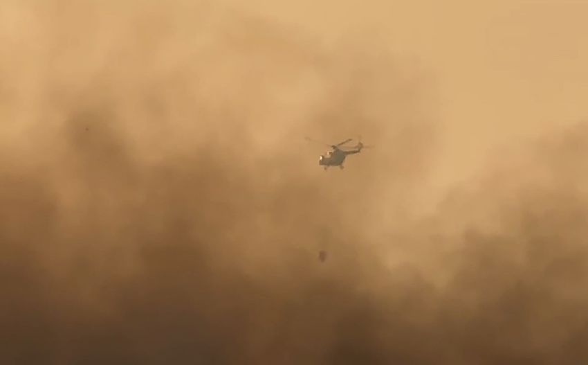 20251111Aw577659 850X527