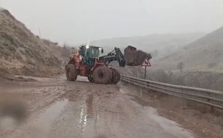 20251116Aw580439 850X527