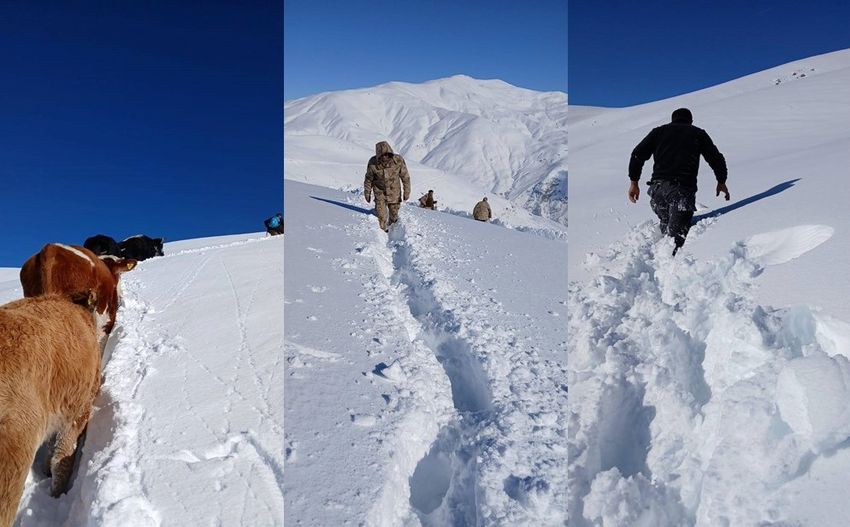 20251118Aw581571 850X527