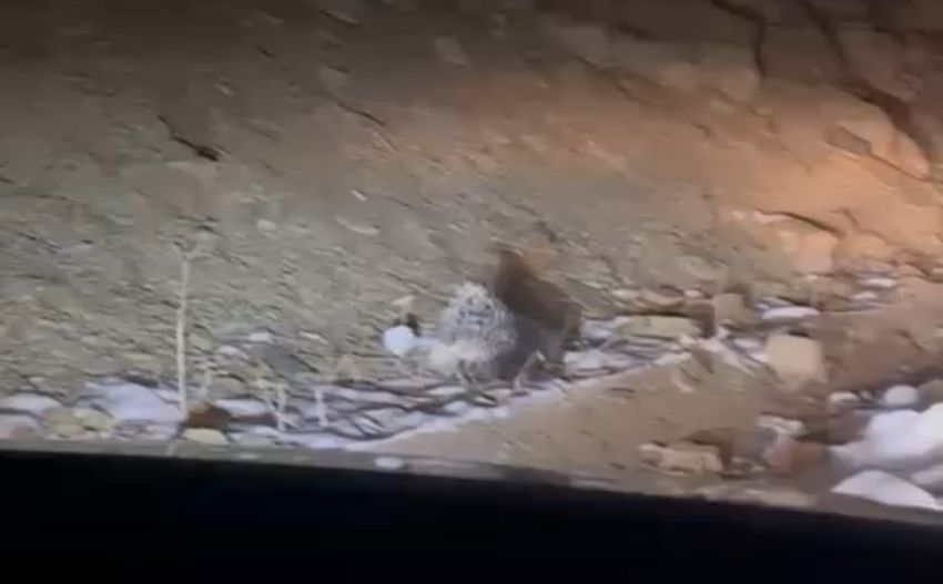 20251121Aw584197 850X527