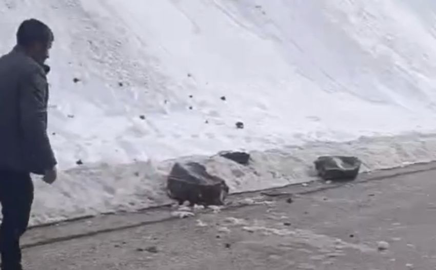 20251126Aw587566 4 850X527