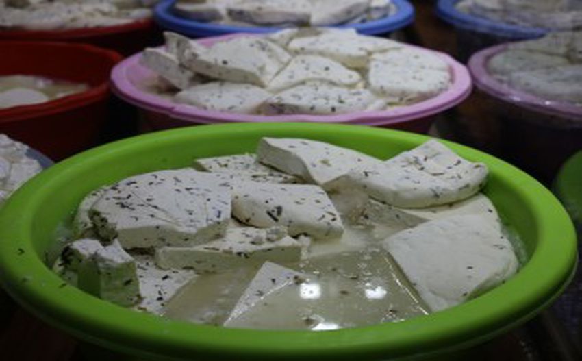 330X242Cc V 18 11 2025 Peynir Rop3 850X527