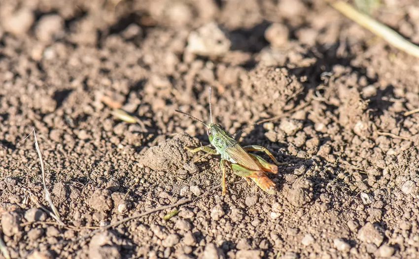 752866Fc 3C42 4Fcf A5E7 59A24957Dbaa 850X527