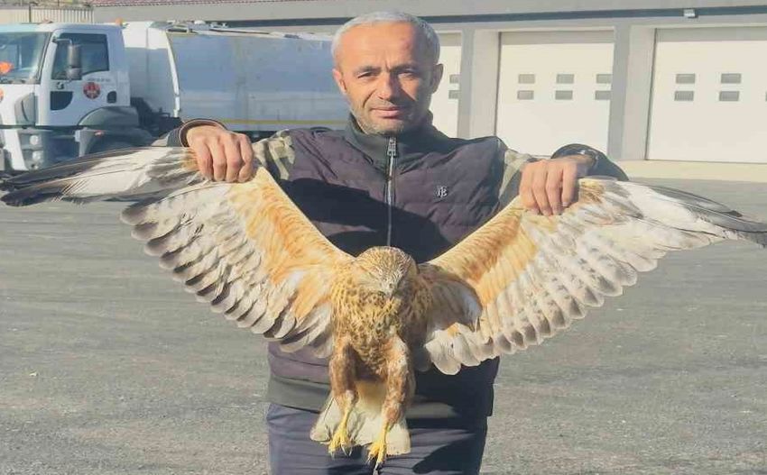 Baykuş Yaralı 850X527