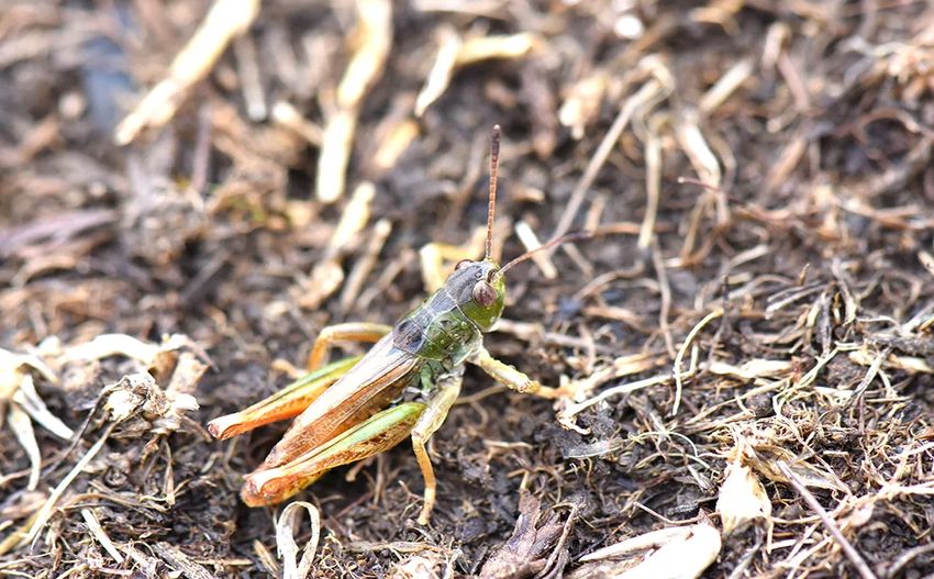 Cc248884 94Ec 4C6C 9Fc0 Bc6Bfc4Bfa23 850X527