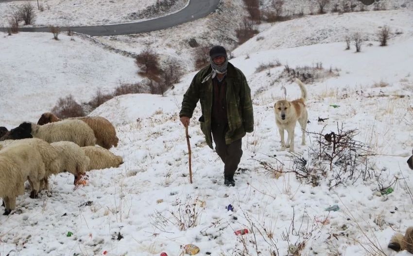 I M G 20251115 123910 850X527