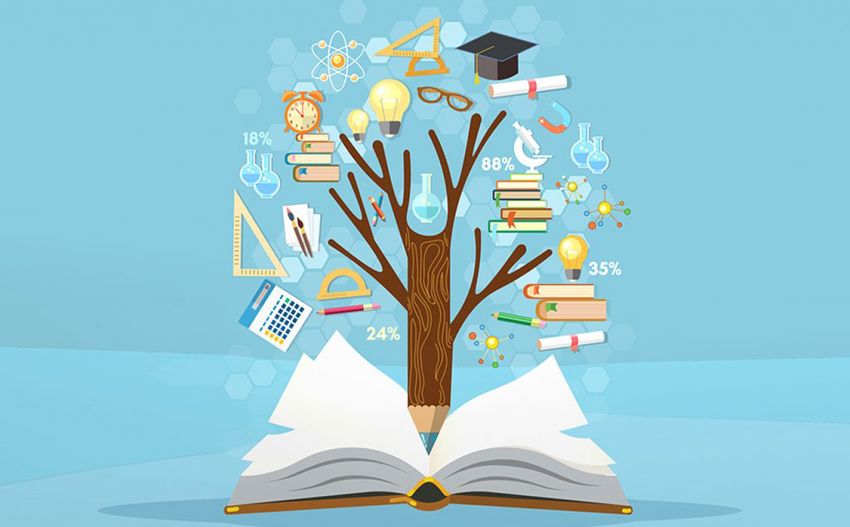 Whatsapp Image 2025 11 13 At 09.50.49 850X527