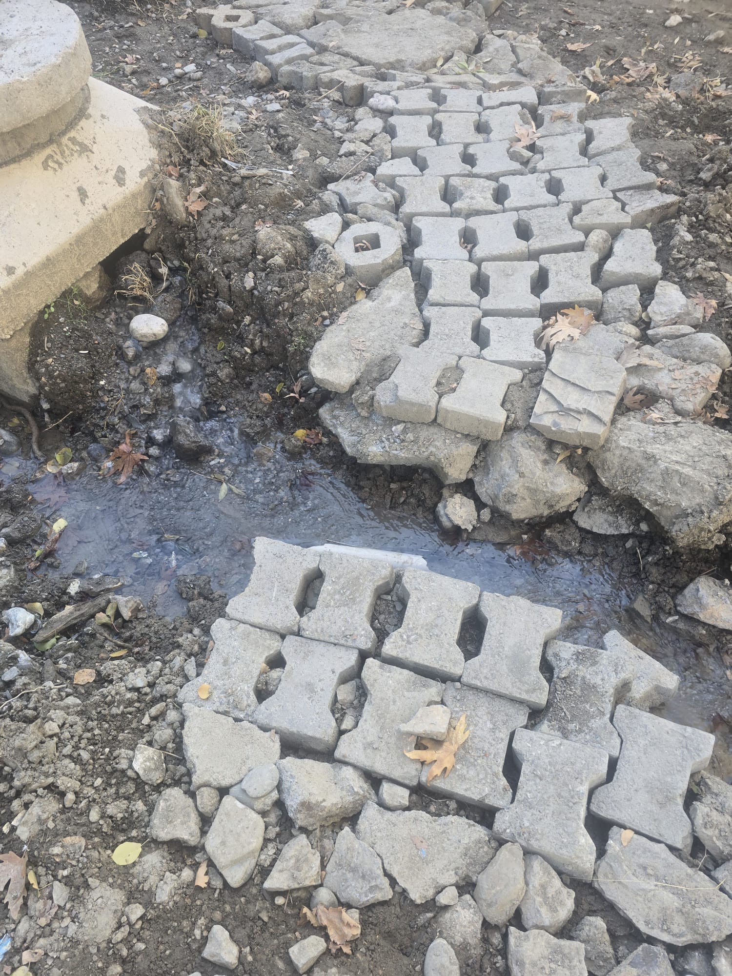 00249194 3437 4262 B74D Bef1655B4305