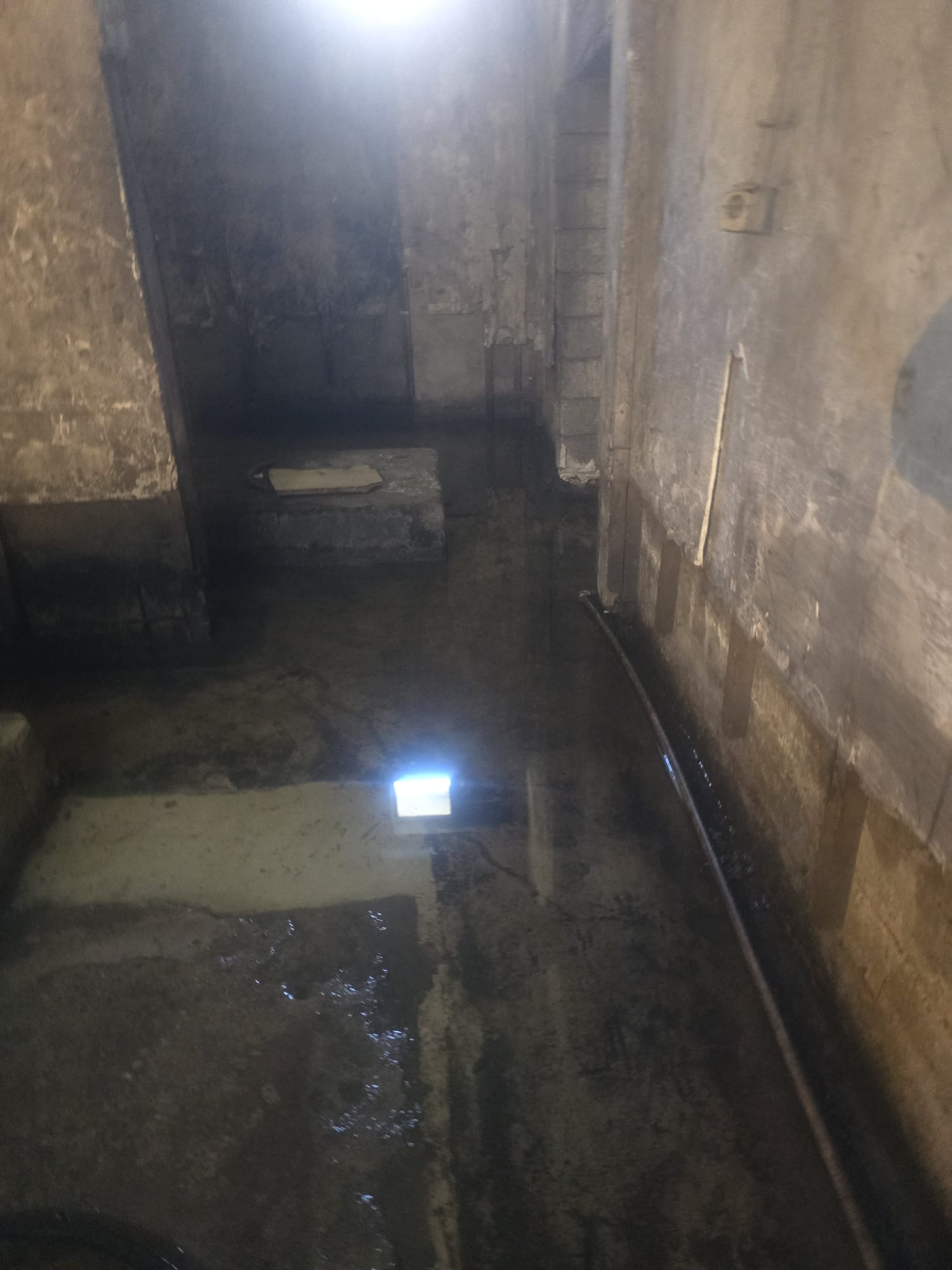 14F0B1A6 6271 4835 Babd 7944F3Eea036