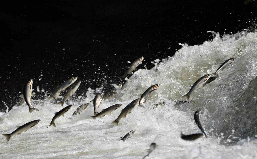 20251202Aw590892 850X527