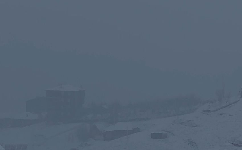 20251208Aw595141 6 850X527