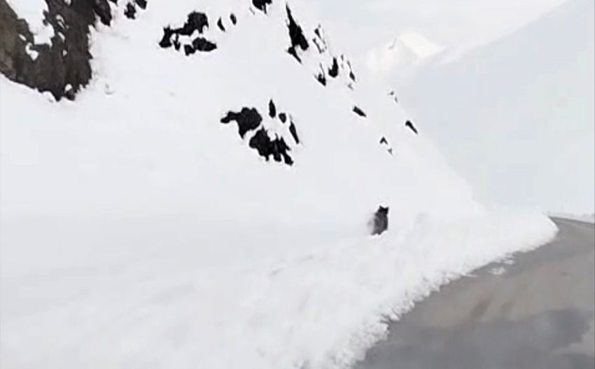 20251212Aw597635 5 850X527