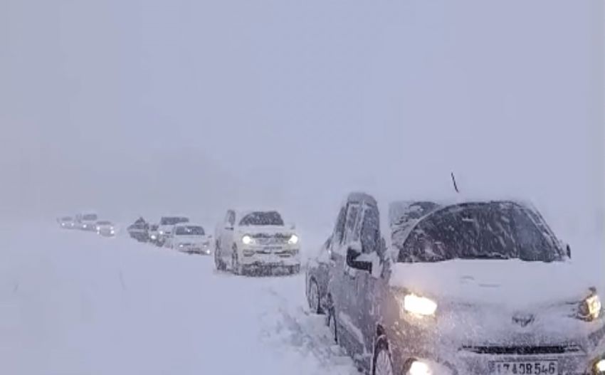 20251229Aw609110 850X527