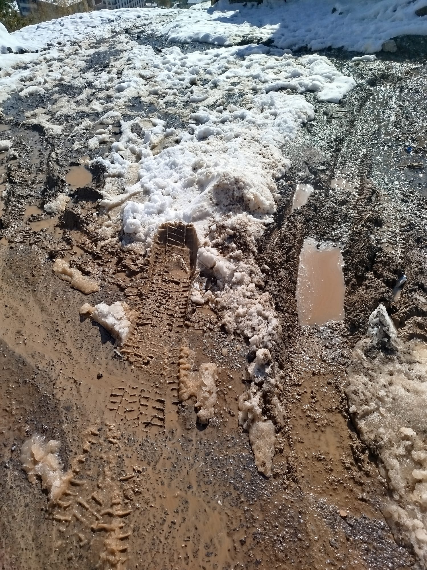 453D6B37 Ffce 4110 8D0A 3Adb3Cd744C3