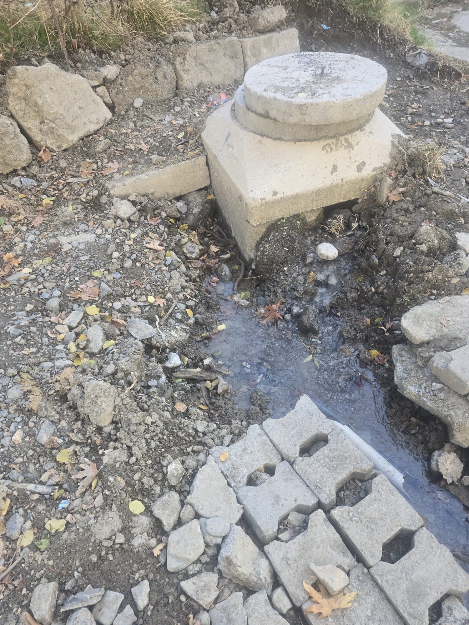 68D2C07E E2C6 4F7E Be3B B3B7Fa264Dda