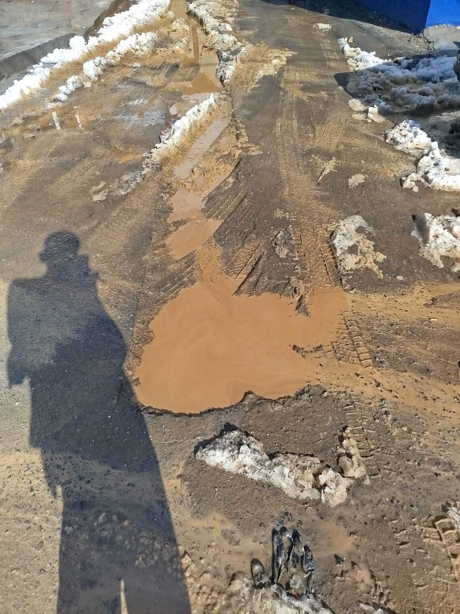 95Eb799D F847 4Ddd 8675 Be7E4D11086E