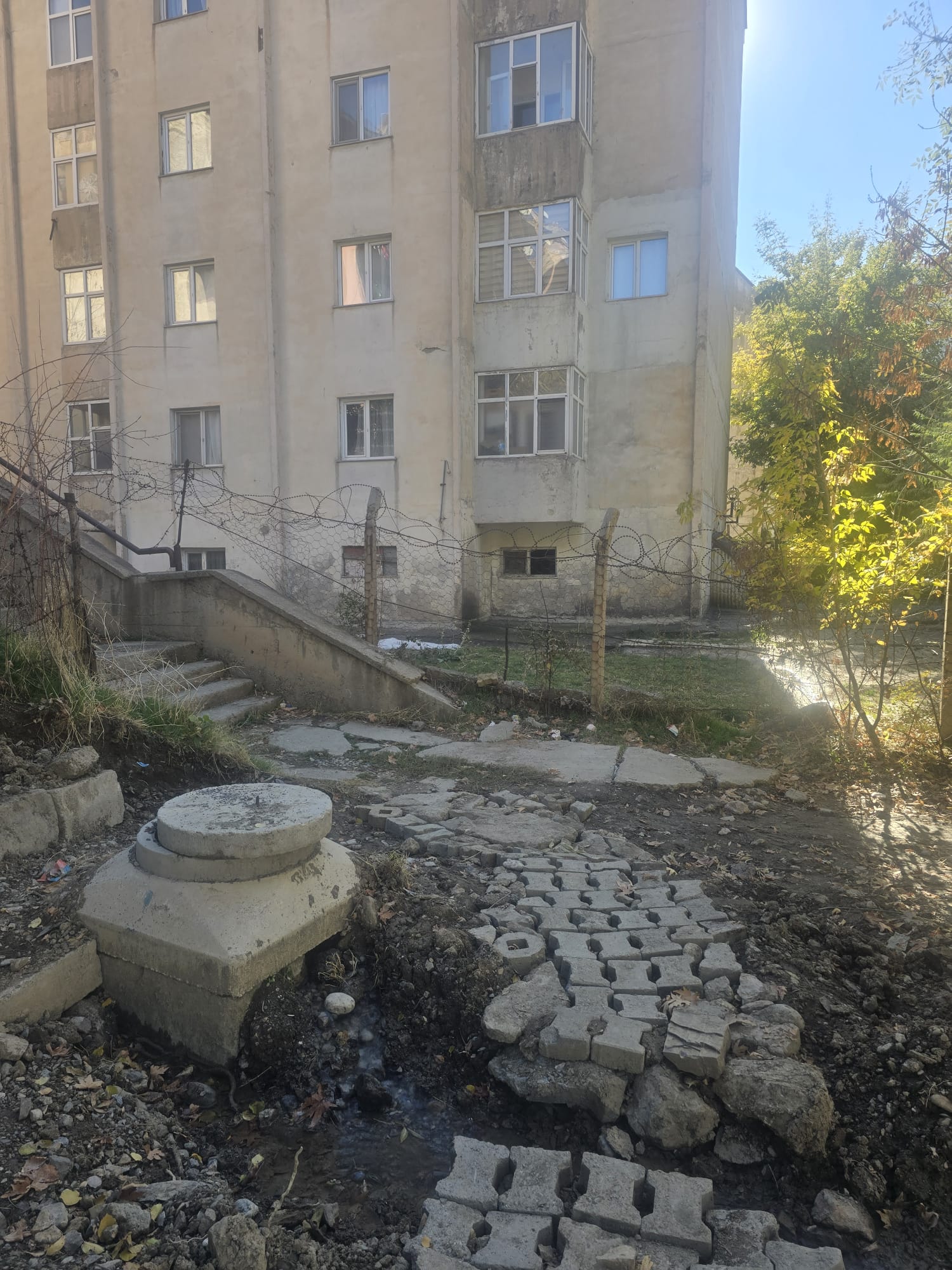 A2Cd5A0B 9618 4404 A1D2 7B8Bee69560E