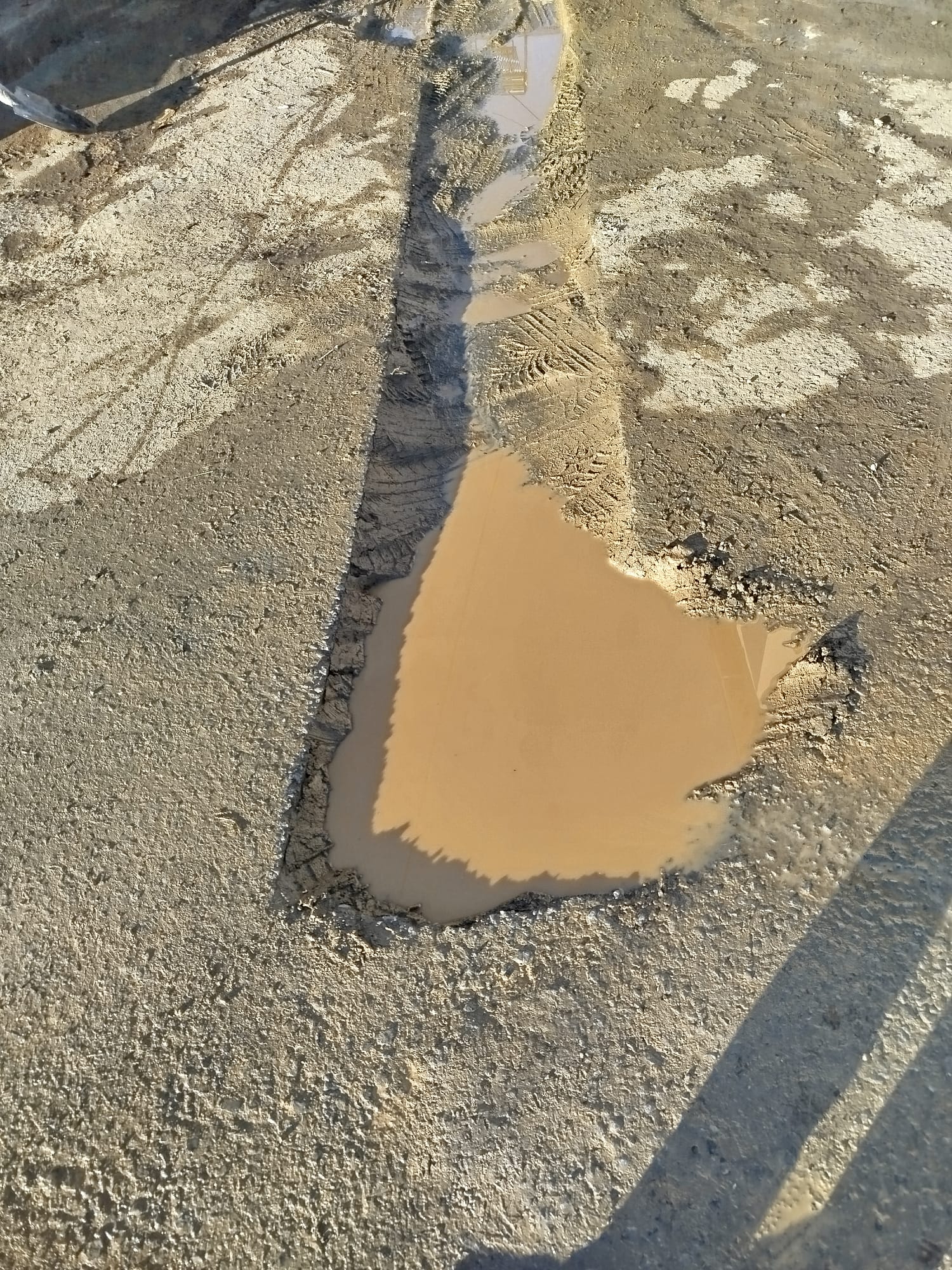 Aa9A6A89 3713 48Bf B1E1 2E977068B8A4