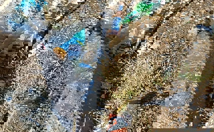 Whatsapp Image 2025 12 14 At 13.31.42 850X527