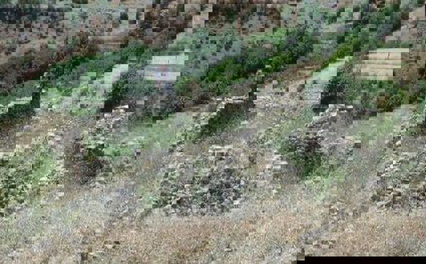 Whatsapp Image 2025 12 29 At 16.10.36 (2) 850X527