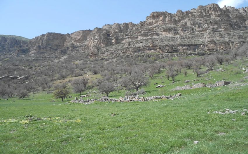 1Bfc10Ae 0F42 4Cca B80F 5337C32B0559 850X527