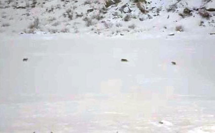 20260101Aw611111 850X527