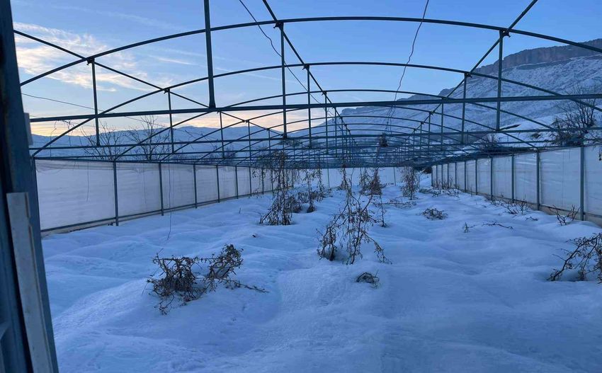 20260108Aw615862 6 850X527