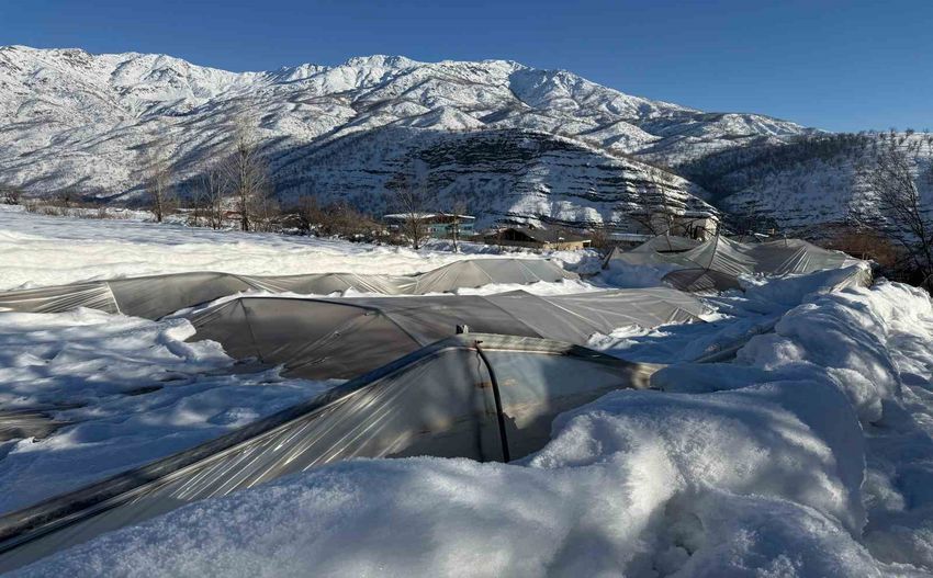 20260108Aw615862 850X527