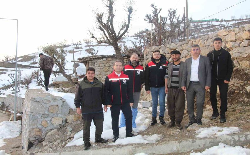 20260109Aw616752 8 850X527