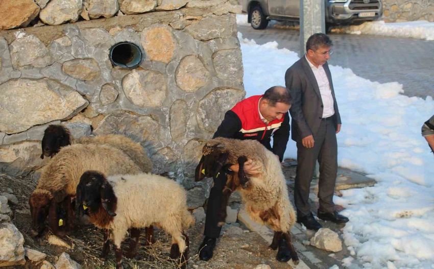 20260109Aw616752 850X527