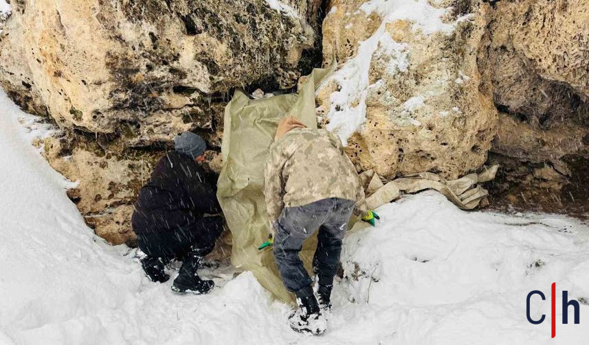 20260122Aw625625 7 857X503