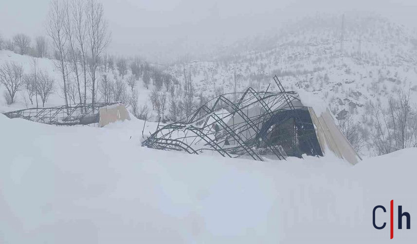 20260124Aw627259 2 857X503