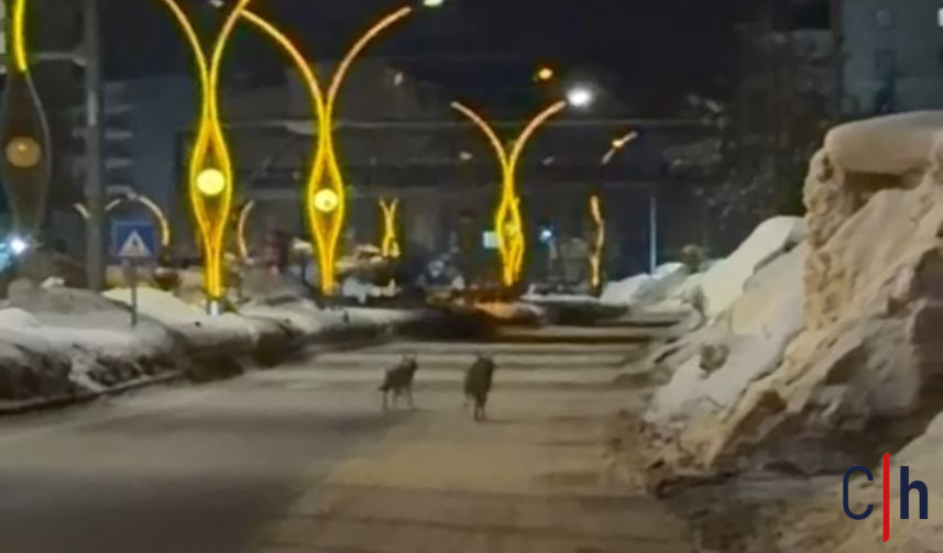 20260124Aw627494 857X503