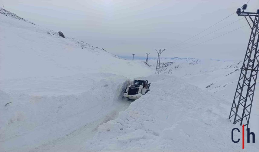 20260124Aw627551 3 857X503