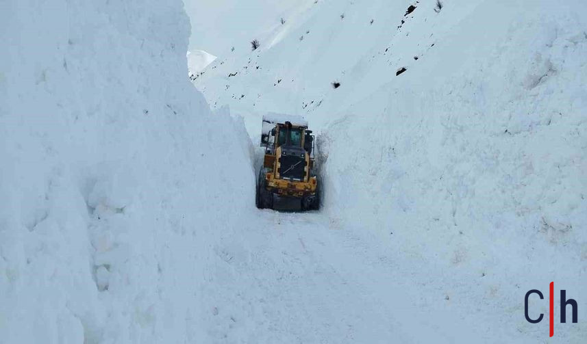 20260124Aw627551 857X503